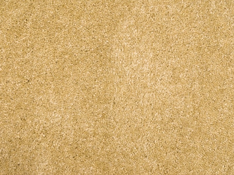 How To Choose The Right Carpet For Your Home